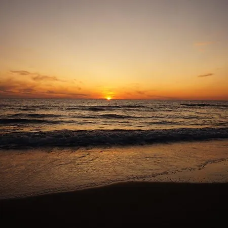 In Schoorl Near Schoorlse Duinen