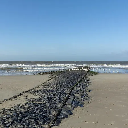 In Schoorl Near Schoorlse Duinen Lägenhet *