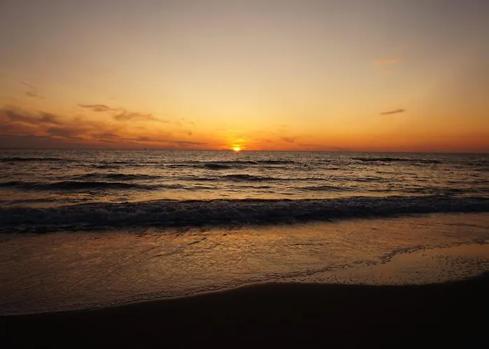 In Schoorl Near Schoorlse Duinen
